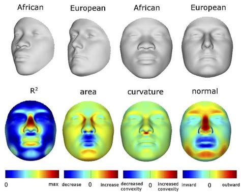 Scientists Identify Genes Behind Nose Shape Genetic Literacy Project