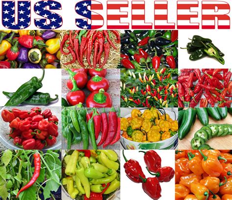 30 Hot Pepper Mix Seeds 16 Varieties Heirloom Non Gmo Habanero Etsy