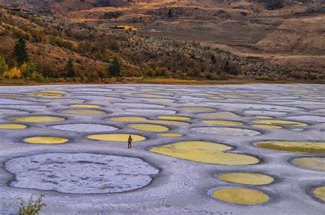 Spotted Lake Canadian Town Of Osoyoos Never Ever Seen Before