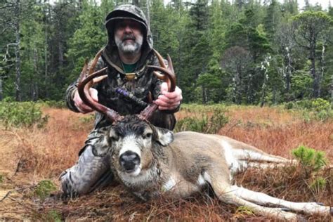 How To Hunt Blacktail Deer ⋆ Outdoor Enthusiast Lifestyle Magazine