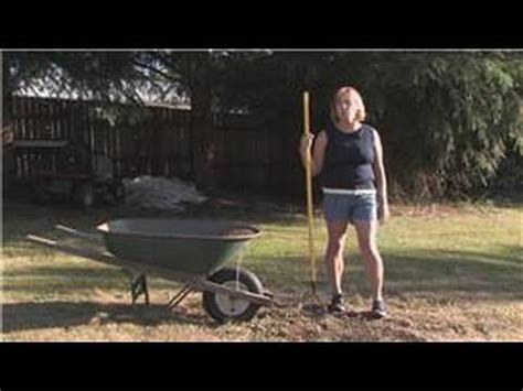Centipede grass's roots grow thin and shallow, making it unable to retain much water for long periods. Grass & Lawn Maintenance : How to Plant Centipede Grass ...