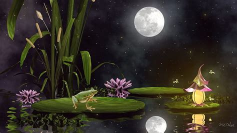Frogs Fancy Stars Cat Tails Firefox Persona Sky Pond Frog