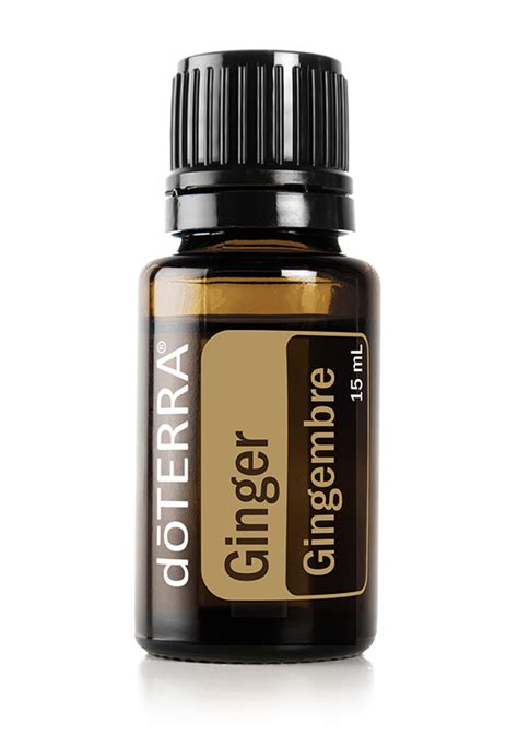 Ginger Oil Doterra Essential Oils