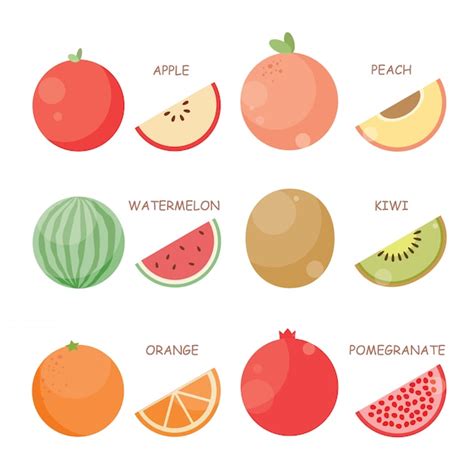 Premium Vector Fruit Vector Illustration Set