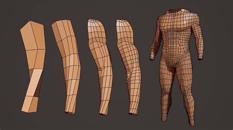 Drawing D Male Body Model And Arm Modeling Process Tutorial At Source