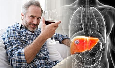 Liver Disease Early Symptoms Of Organ Damage Caused By Too Much
