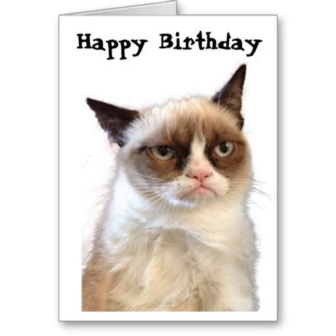 Low Price Grumpy Cat Happy Birthday Card Grumpy Cat Happy Birthday Card In Our Offer Link