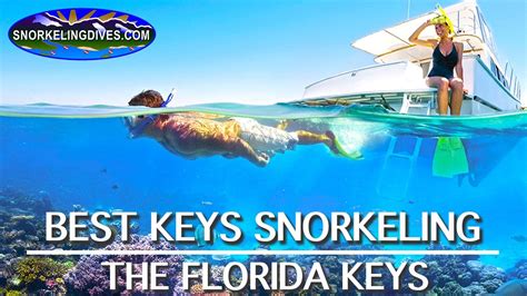 Snorkeling The Florida Keys Youtube