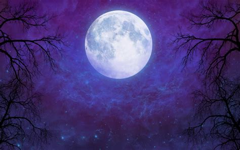 1920x1200 Artistic Full Moon In Starry Night Sky 1200p Wallpaper Hd
