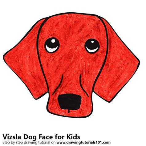 Step By Step How To Draw A Vizsla Dog Face For Kids