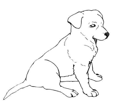 Labrador Coloring Pages - Best Coloring Pages For Kids