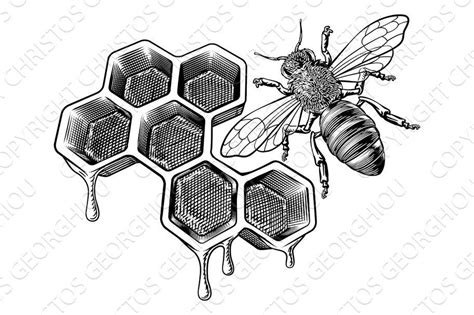 Honey Bumble Bee And Honeycomb Honey Bee Drawing Bee Drawing Bee Art