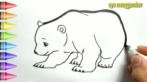 Mudahnya Ayo Belajar Cara Menggambar Beruang Bear Dan Mewarnai