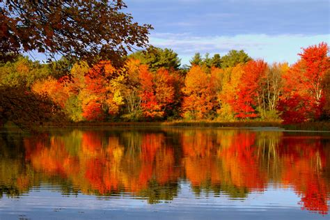 Download Lake Tree Fall Nature Reflection 4k Ultra Hd Wallpaper
