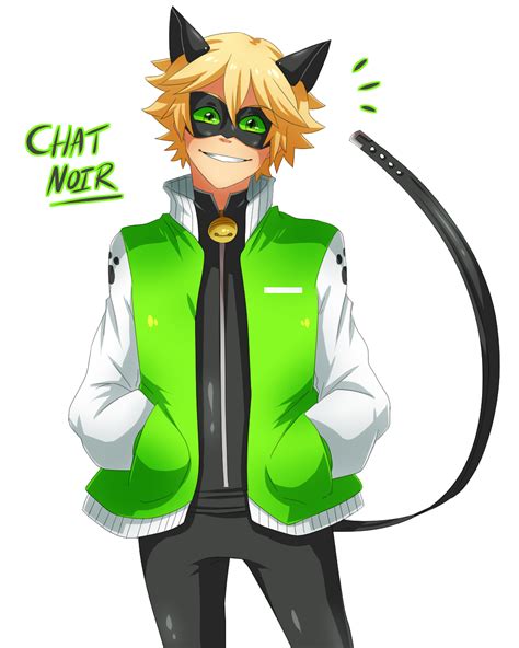 This superhero character is from the french animated series tv. Chat Noir | Miraculous Ladybug | Know Your Meme
