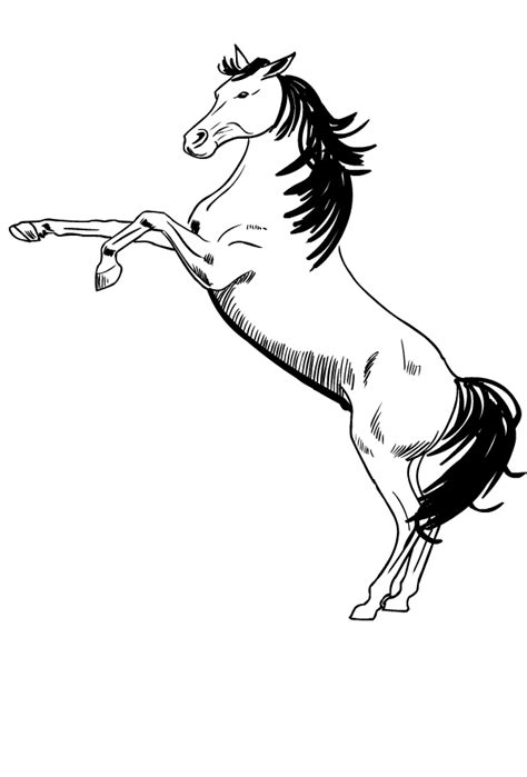 Dibujos de caballos para colorear