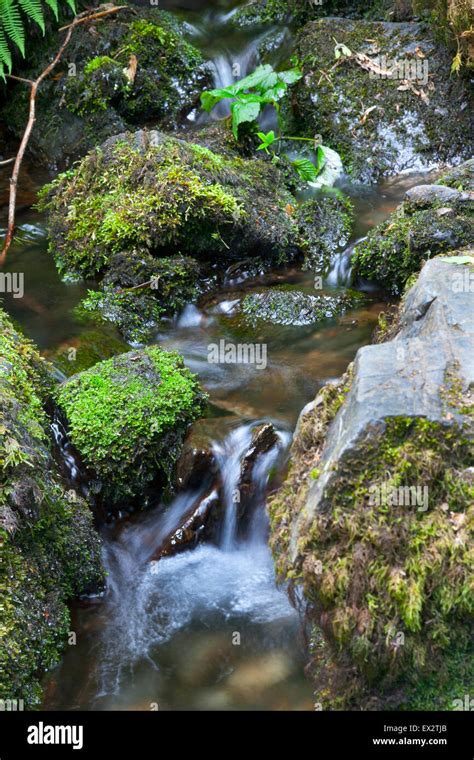 Small Stream Of Water Rushing Over Rocks At Canonteign Falls Dartmoor