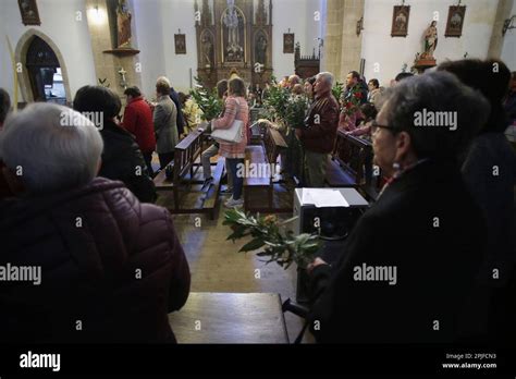 A Priest Blesses The Branches Of Parishioners Who Gather During The