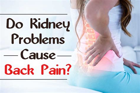 You owe it to yourself to watch this video before visiting any other sites related to lower back organs. Can kidney problems cause back pain?