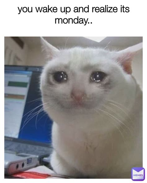 You Wake Up And Realize Its Monday Oversizedpotato Memes
