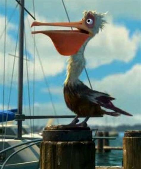What Is The Name Of The Pelican In Finding Nemo Isabellminduffy