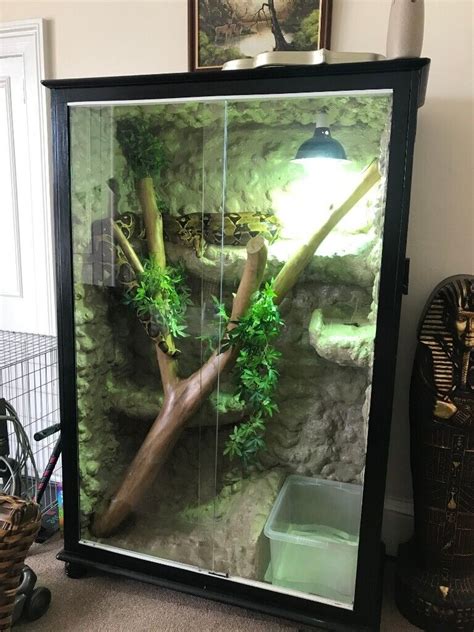 Snake Tank Very Large With Snake In Dundee Gumtree