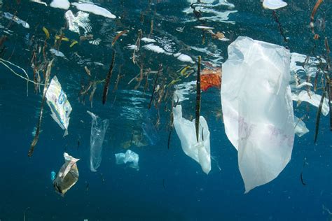 The Problem With Plastic In Nature And What You Can Do To Help