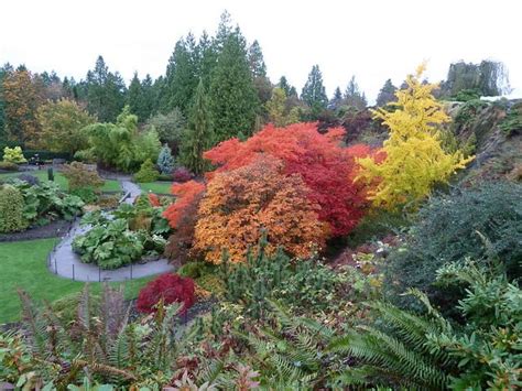Where To See The Best Fall Foliage In Metro Vancouver 604 Now