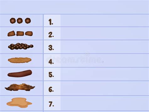 Poop Stool Color Changes Color Chart And Meaning Healthy Concept Stock