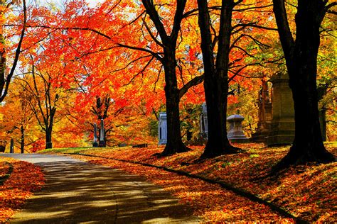 where to see the best fall leaves in the u s