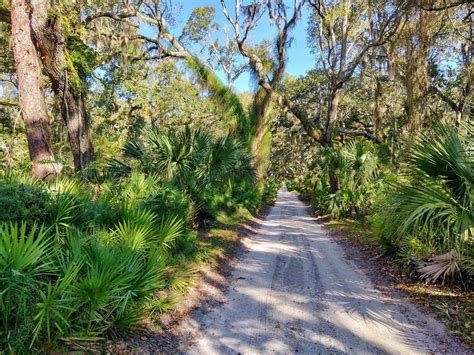 How To Visit Cumberland Island And Tips For Best Things To Do