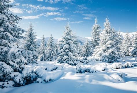 Csfoto 5x3ft Winter Landscape Backdrop Winter Forest Ice