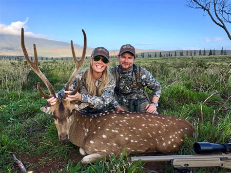 2-Day/3-Night Axis Deer Hunt for Two Hunters in Lanai, Hawaii ...