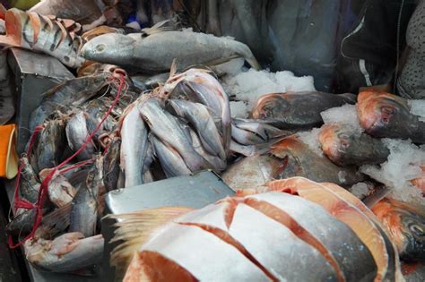 Precio Del Pescado En Colombia Se Incrementó Hasta En Un 40 Durante La Semana Santa Infobae