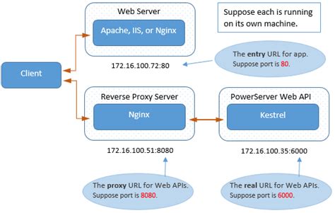 Configuring Nginx Reverse Proxy Server Linux Powerserver Help
