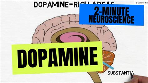 2 Minute Neuroscience Dopamine Youtube