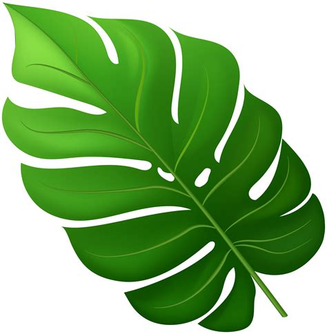 Tropical Leaf Png Clipart Gallery Yopriceville High Quality