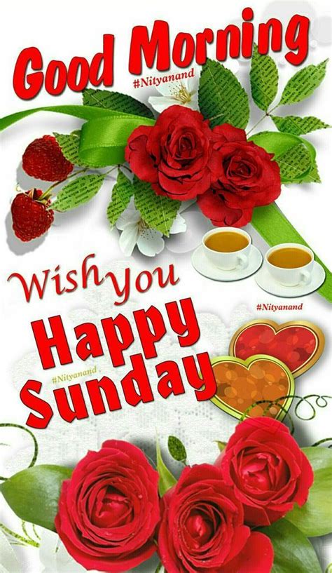 Wish You Happy Sunday Good Morning Pictures Photos And Images For