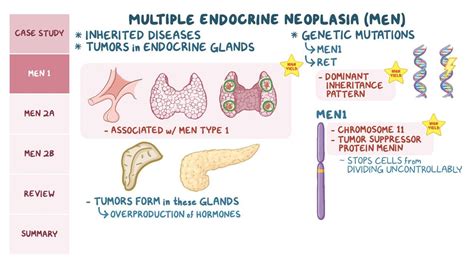 Multiple Endocrine Neoplasia Pathology Review Video Osmosis