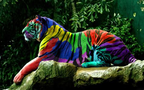 Rainbow Tiger Pattern Wallpaper Cats Rainbow Sweet Tigers