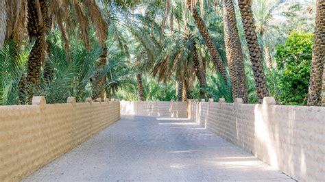 Five Great Day Trips From Abu Dhabi Jumeirah