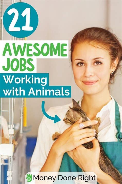 10 High Paying Jobs Working With Marine Animals Ideas News