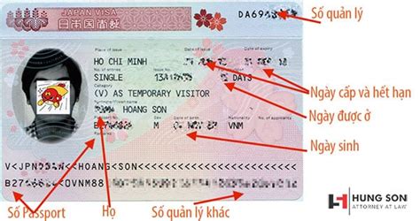 Cách Ghi Tên đúng Trên Passport Hướng Dẫn Cơ Bản