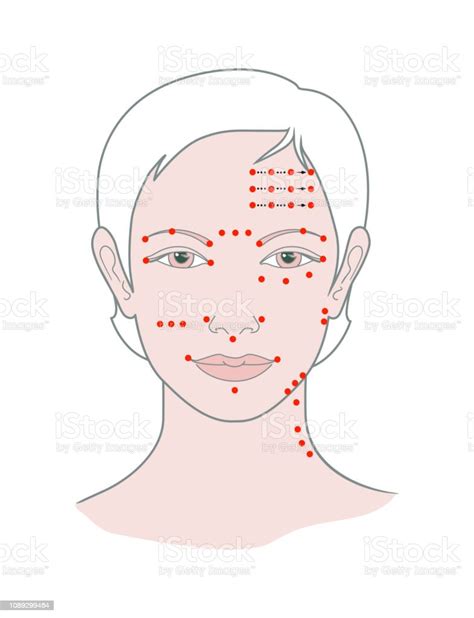 Shiatsu Points Face Massage Acupuncture Stock Illustration Download Image Now Acupuncture