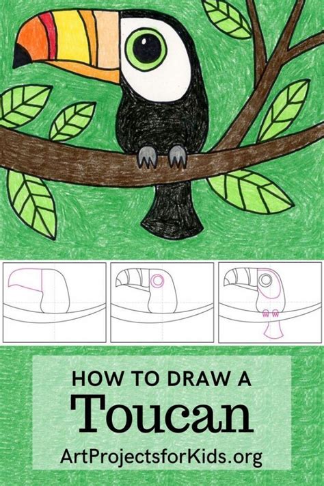 How To Draw A Toucan · Art Projects For Kids Toucan Art Art Drawings