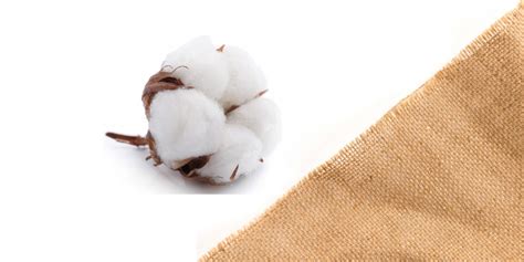 Indias Cotton Jute Exports Show Positive Growth In May 2021 Textile