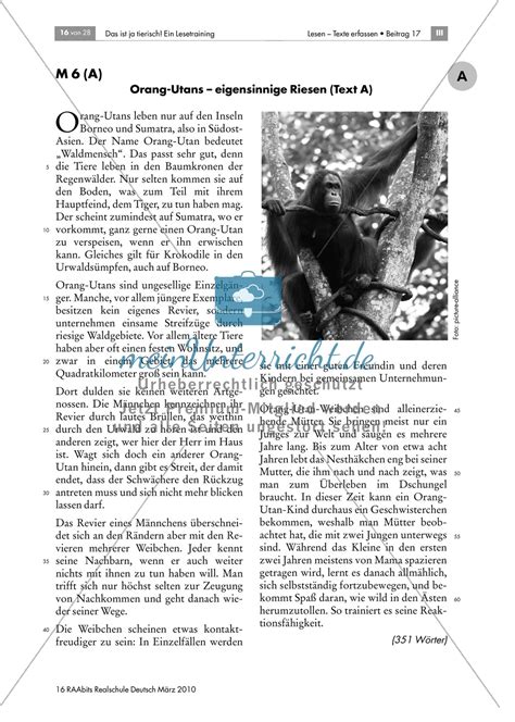Den text in eine andere darstellungsform übertragen (ab klasse 4). Leseübungen anhand von Sachtexten über Tiere: Thema Orang ...