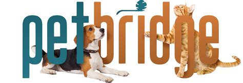 Top 186 + Animal shelter software - Lifewithvernonhoward.com
