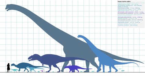 Carnivorous Dinosaur Size Comparison
