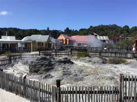 Whakarewarewa The Living Maori Village Rotorua 2020 All You Need